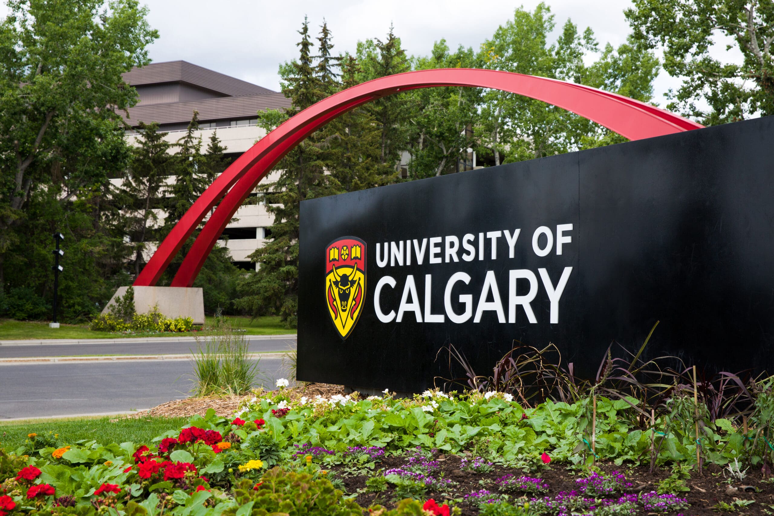 Donna appointed to University of Calgary's Senate - Finley & Associates